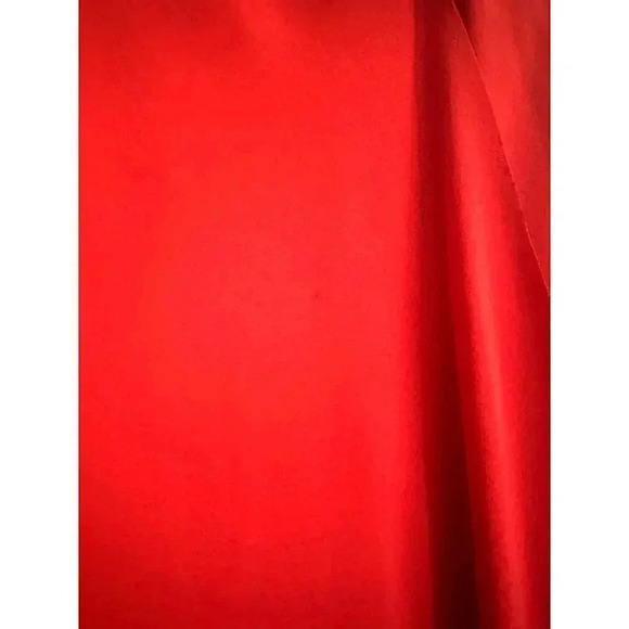 Iris & Ink Asymmetrical Waistline Reddish Orange Dress 14 - Picture 10 of 12